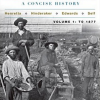 Test Bank For America A Concise History Volume 1 6th Edition