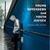 Young Offenders And Youth Justice A Century After the Fact 4th Edition by Sandra J Bell Test Bank 1