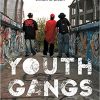 Youth Gangs in American Society 4th Edition by Randall G Shelden Test Bank 1